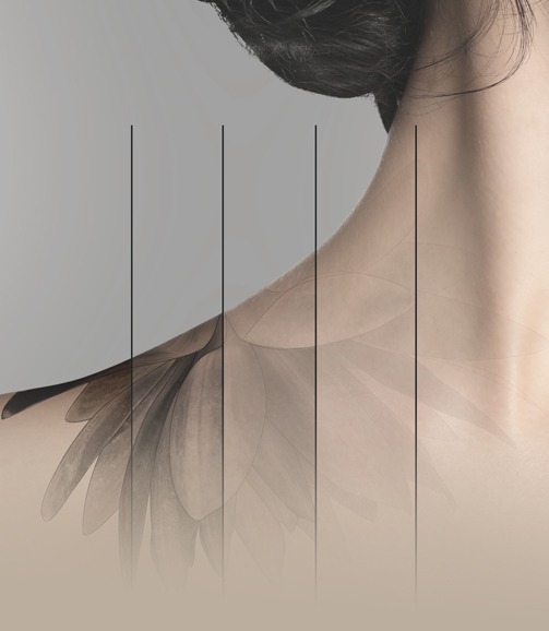 PIGMENTATION image