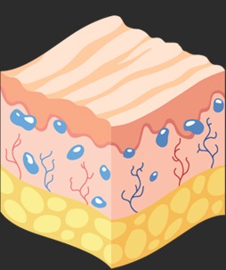 step 2 image