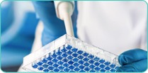 line 2 image